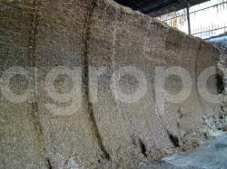 Хранение и отбор сенажа.